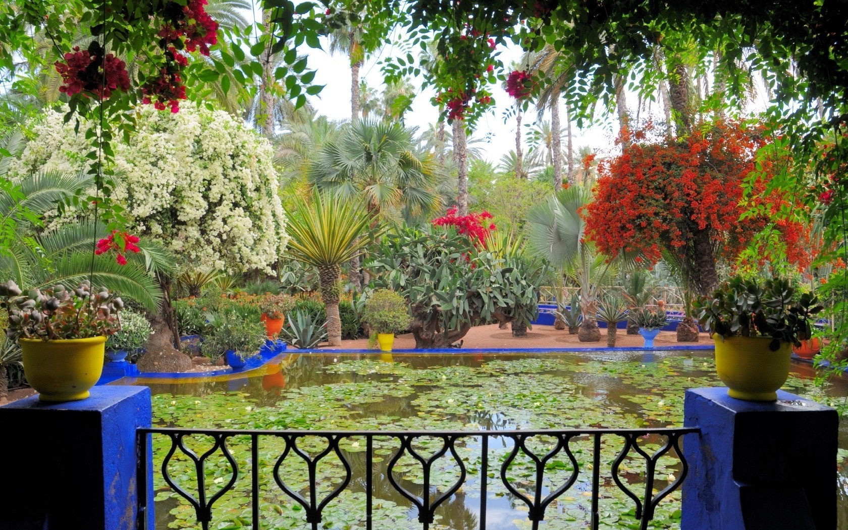 nehirler göletler ve akarsular göletler ve akarsular bahçe çiçek ağaç flora yaz havuz veranda tropikal dekorasyon doğa botanik yaprak park renk otel çalı çare avuç içi tatil
