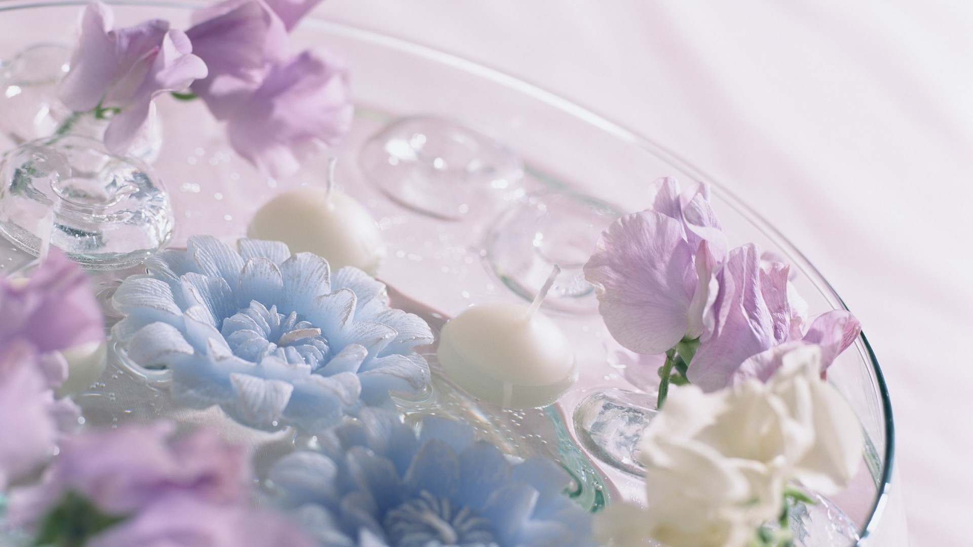 fiori fiore matrimonio floreale decorazione bouquet bella flora romantico desktop primo piano petalo colore fiore regalo lusso vacanza romanticismo natura da sposa matrimonio