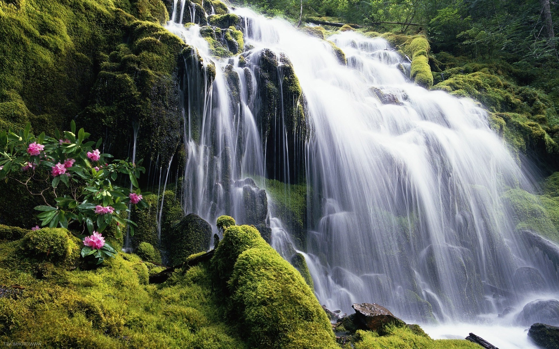 природа водопад nature waterfall загрузить