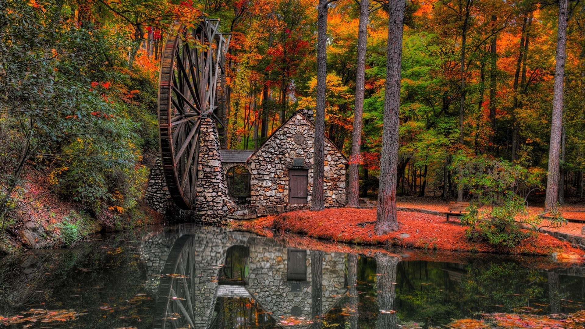 rivières étangs et ruisseaux étangs et ruisseaux automne feuille bois bois nature à l extérieur paysage érable parc eau voyage