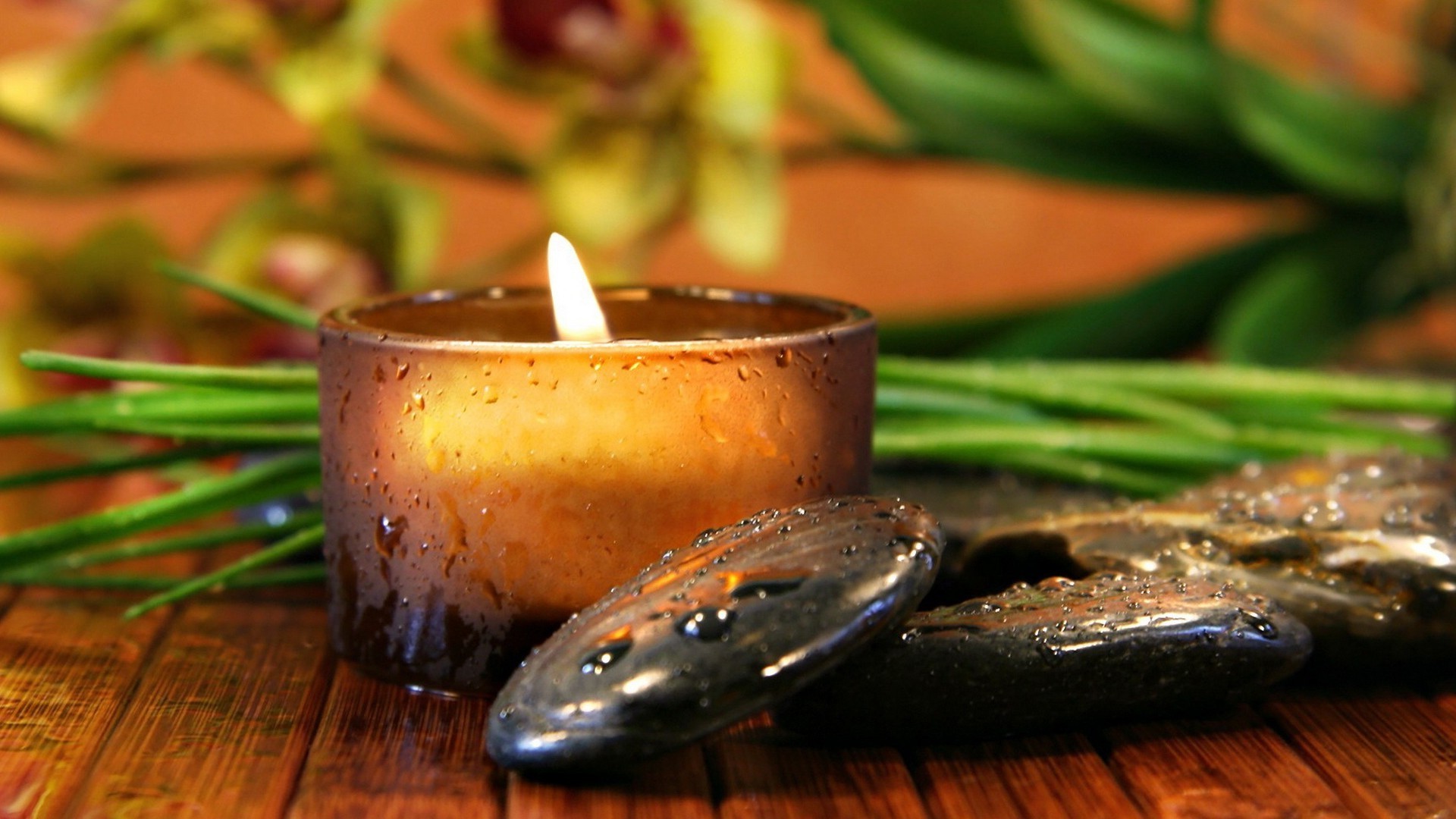gegenstände kerze essen bambus wachsen holz stillleben aromatherapie öl gesundheit flamme fisch salz