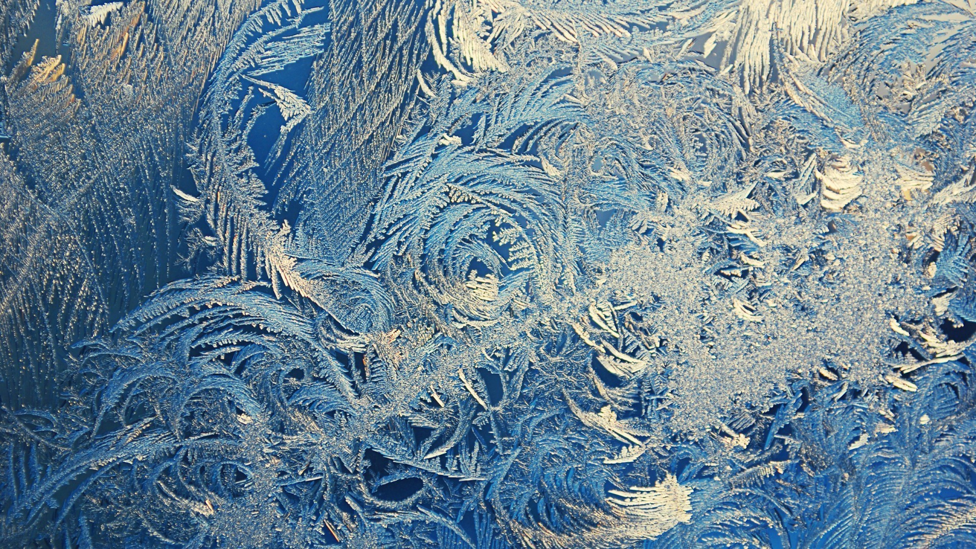 玻璃 桌面 模板 霜 抽象 纹理 冷 冰冷 冰 霜冻 自然 冬天 设计 冻结 雪 艺术 水晶 壁纸
