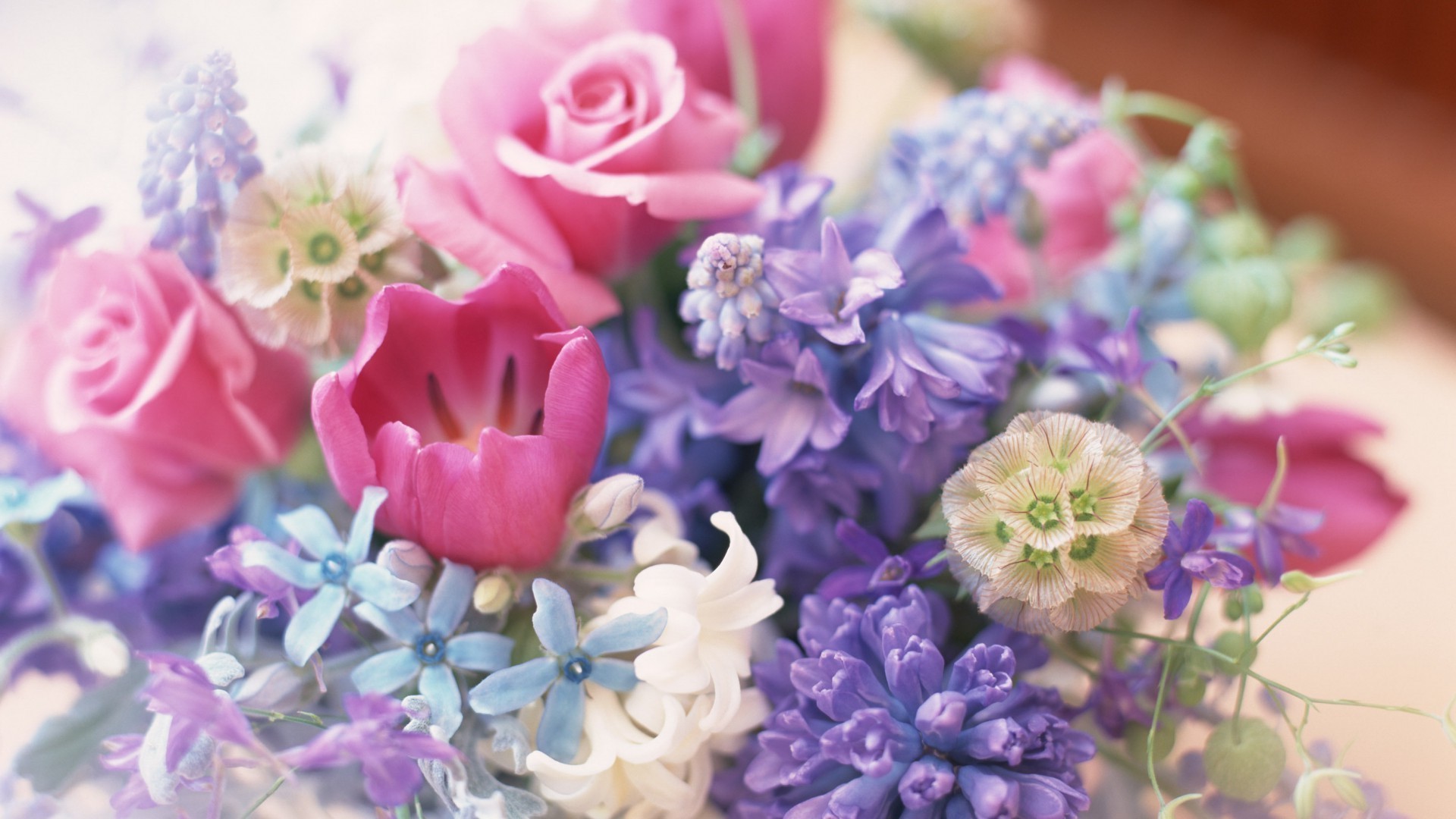 blumenstrauß blume flora blumenstrauß natur dekoration blumen farbe schön blühen blütenblatt sommer garten blatt geschenk hochzeit