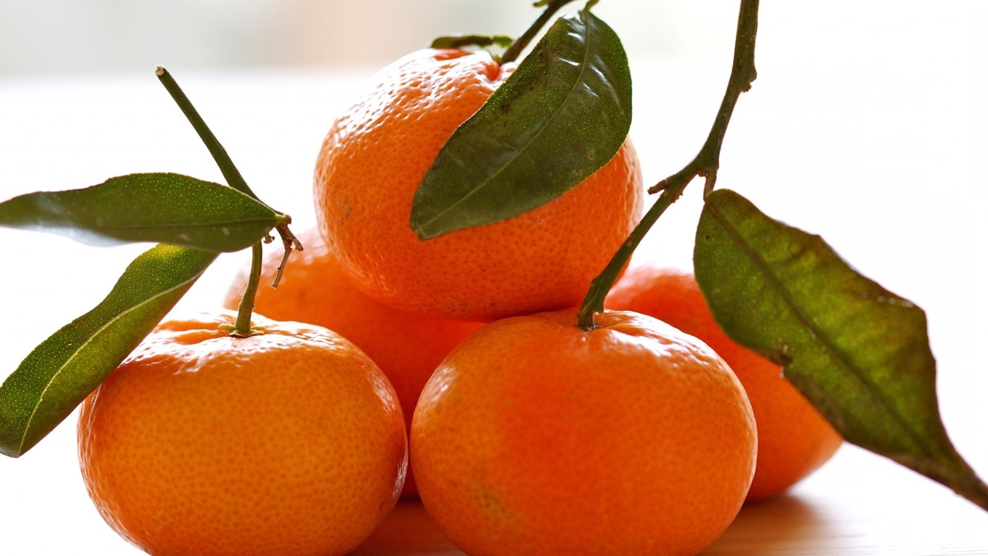 obst blatt lebensmittel saftig gesund süßwaren saft zitrusfrü cke gesundheit mandarine mandarine landwirtschaft ernährung tropisch frische wachsen natur lecker essen
