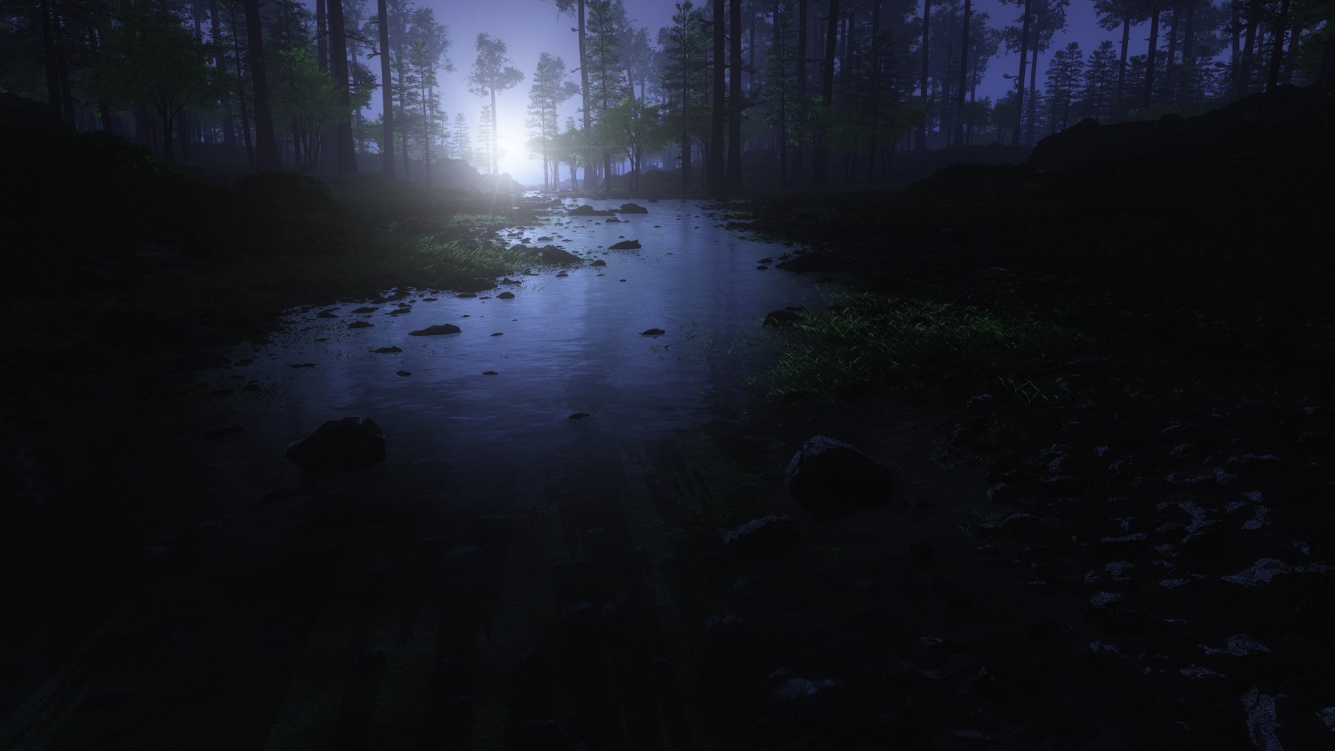 the sunset and sunrise water reflection landscape river light evening lake tree dawn sunset wood