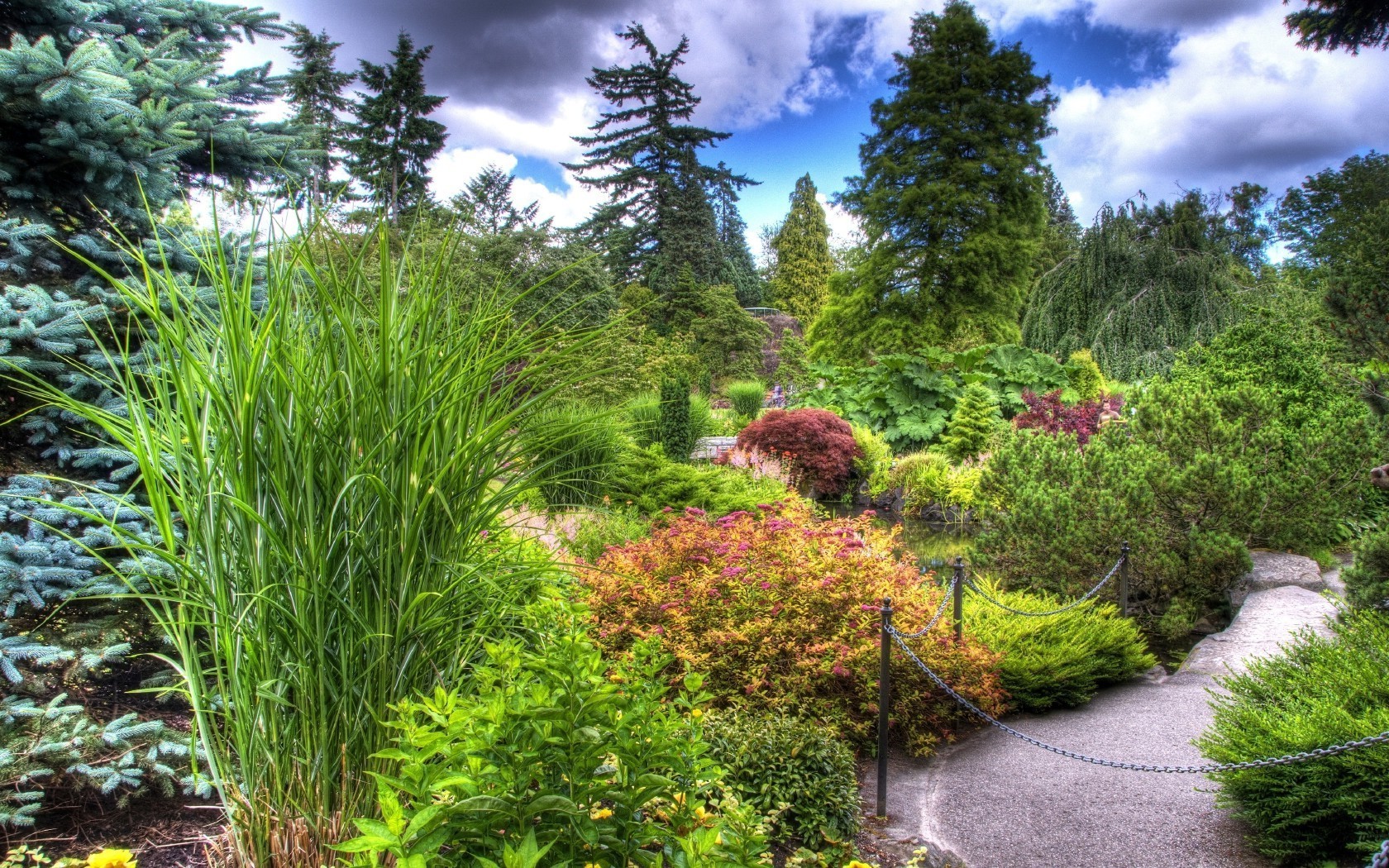 景观 自然 树 花园 景观 木材 夏天 植物群 叶 公园 草 户外 花 环境 好天气 奇观 季节 草坪 指南 增长