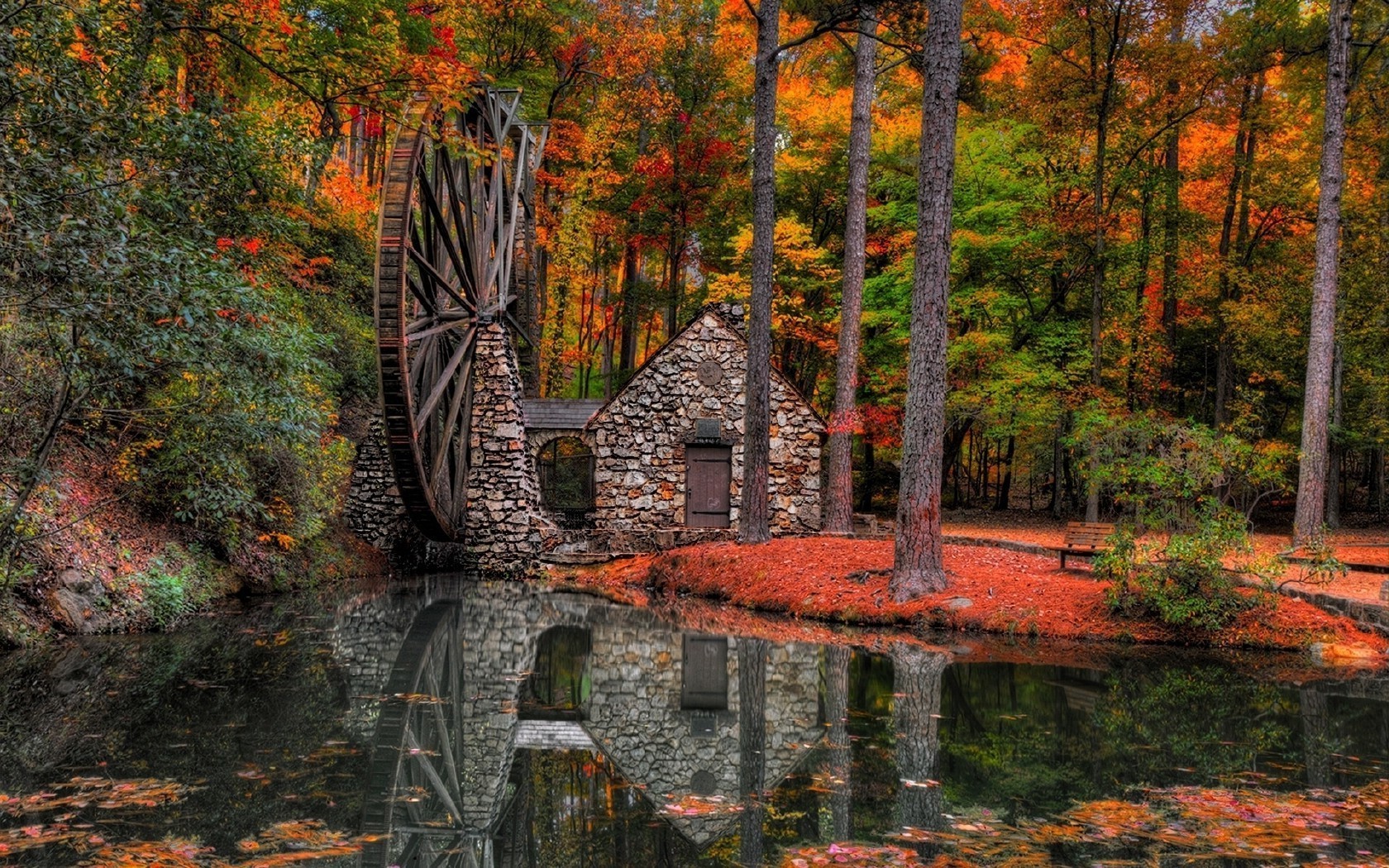 rivières étangs et ruisseaux étangs et ruisseaux automne feuille bois bois nature paysage à l extérieur parc eau érable voyage scénique rivière
