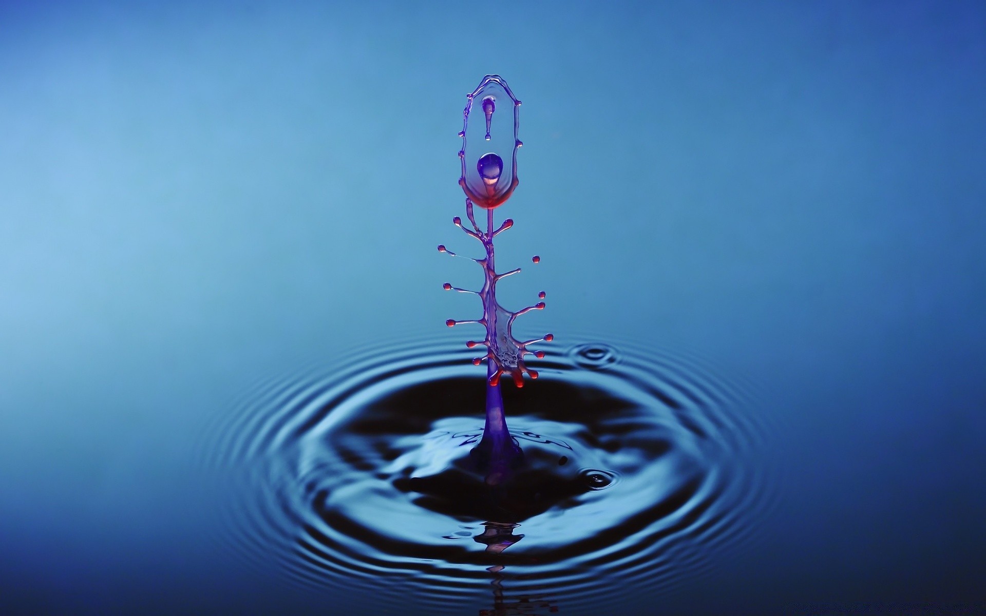makro natur regen fallen wasser sauberkeit reflexion spritzen himmel welle desktop farbe nass welligkeit klar