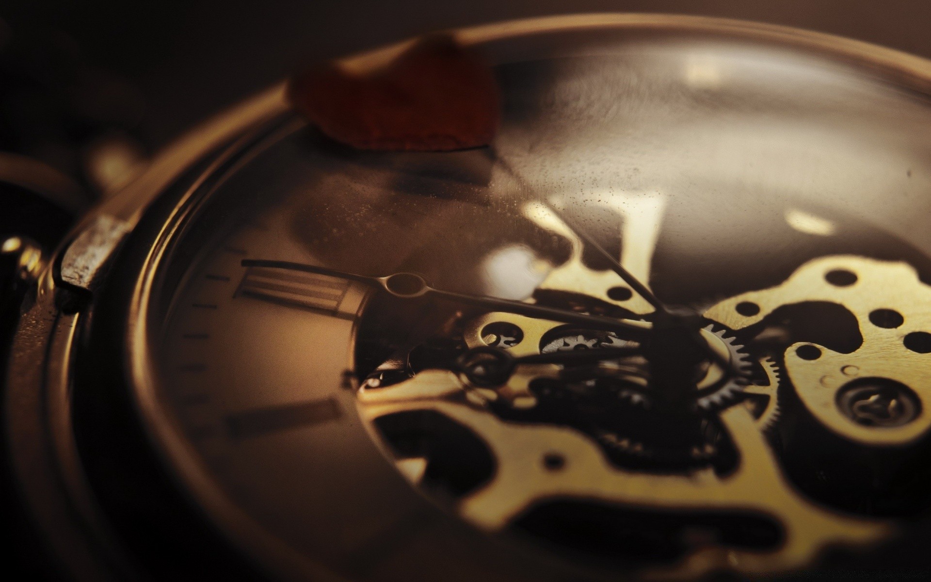 macro horloge montre temps vintage affaires précision analogique nature morte technologie