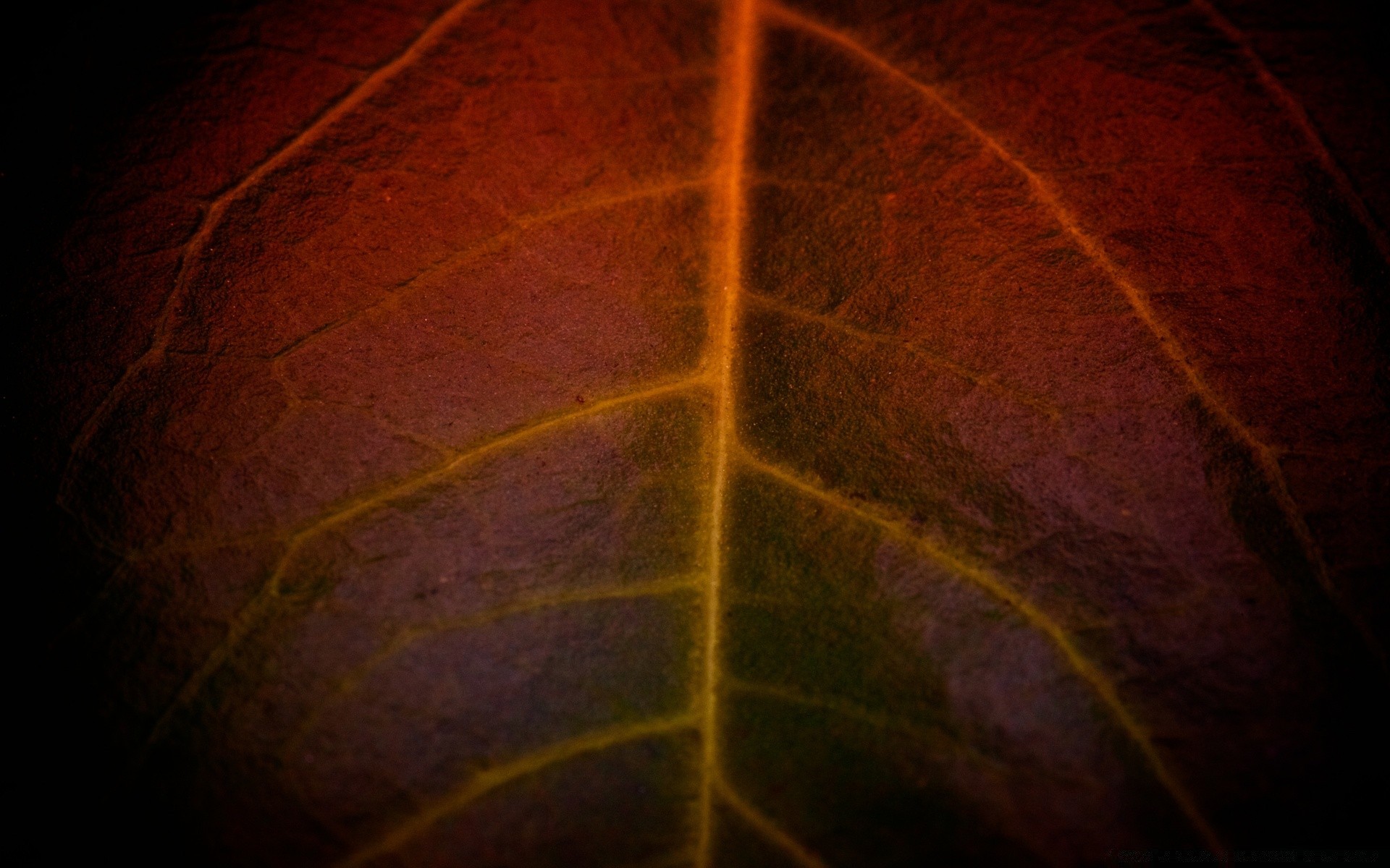 macro résumé texture bureau modèle couleur art conception fond lumière papier peint ligne espace sombre construction flou