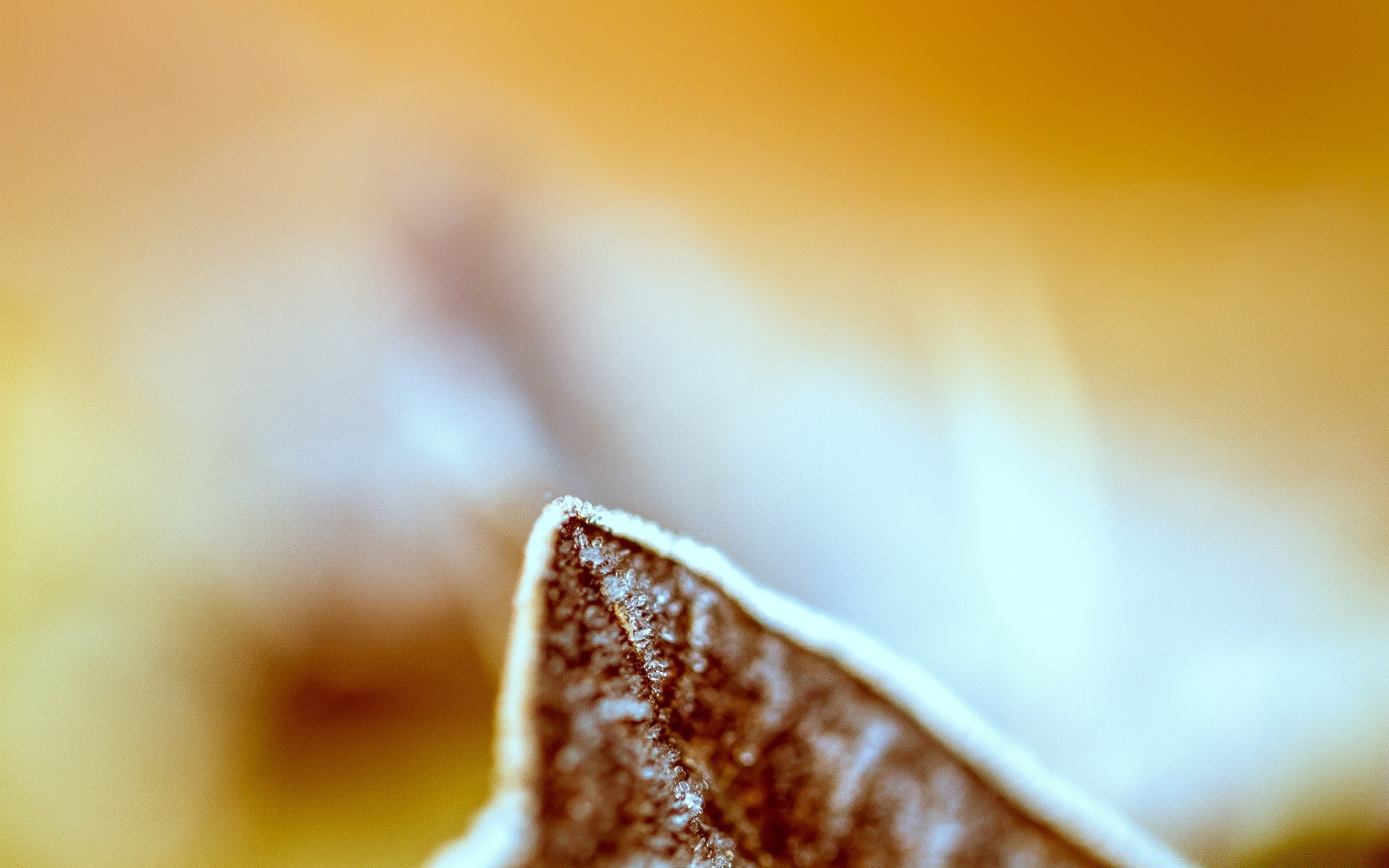 macro desenfoque dof amanecer naturaleza muerta comida desayuno naturaleza café