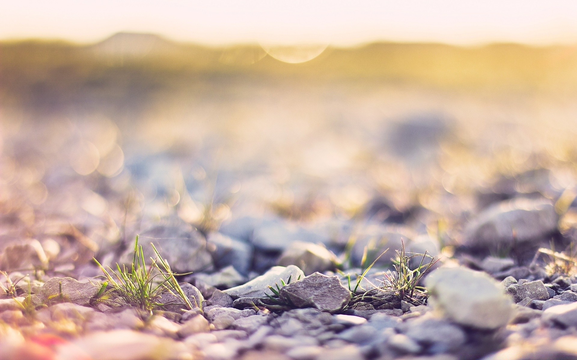 macro natura paesaggio deserto secco tramonto cielo suolo spiaggia terra estate bel tempo sabbia desktop campo soleggiato all aperto sole roccia erba viaggi
