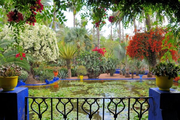Fabulosamente hermosa naturaleza y flores junto al estanque