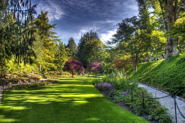 Canto de um belo jardim verde