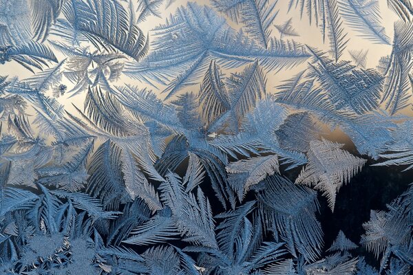Motif givré sur verre froid