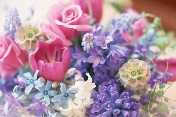 A bouquet of flowers. Multicolored flowers. Beauty