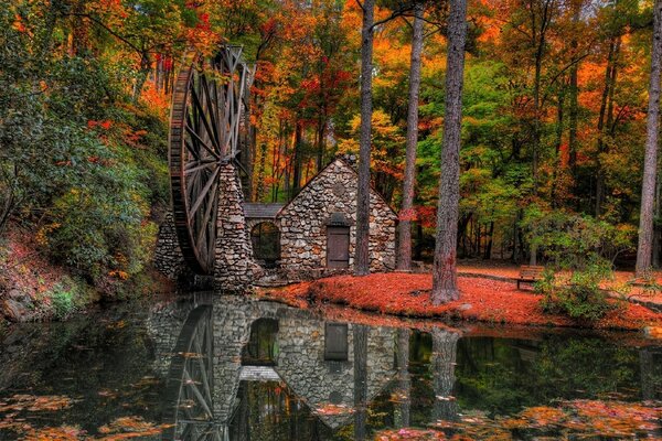 Molino en el bosque de otoño junto al estanque