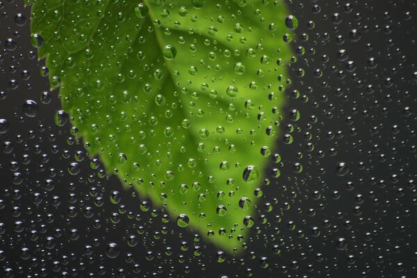 雨滴在玻璃上用床单