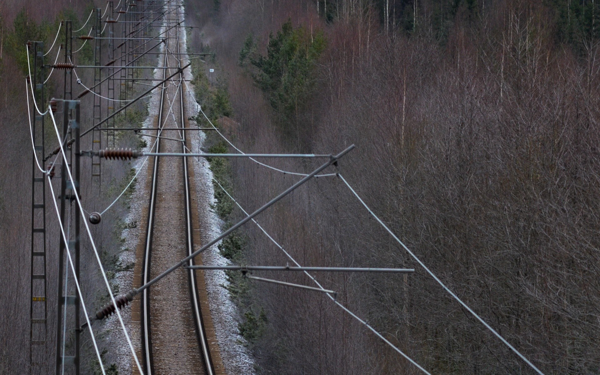 trains wood nature tree outdoors desktop