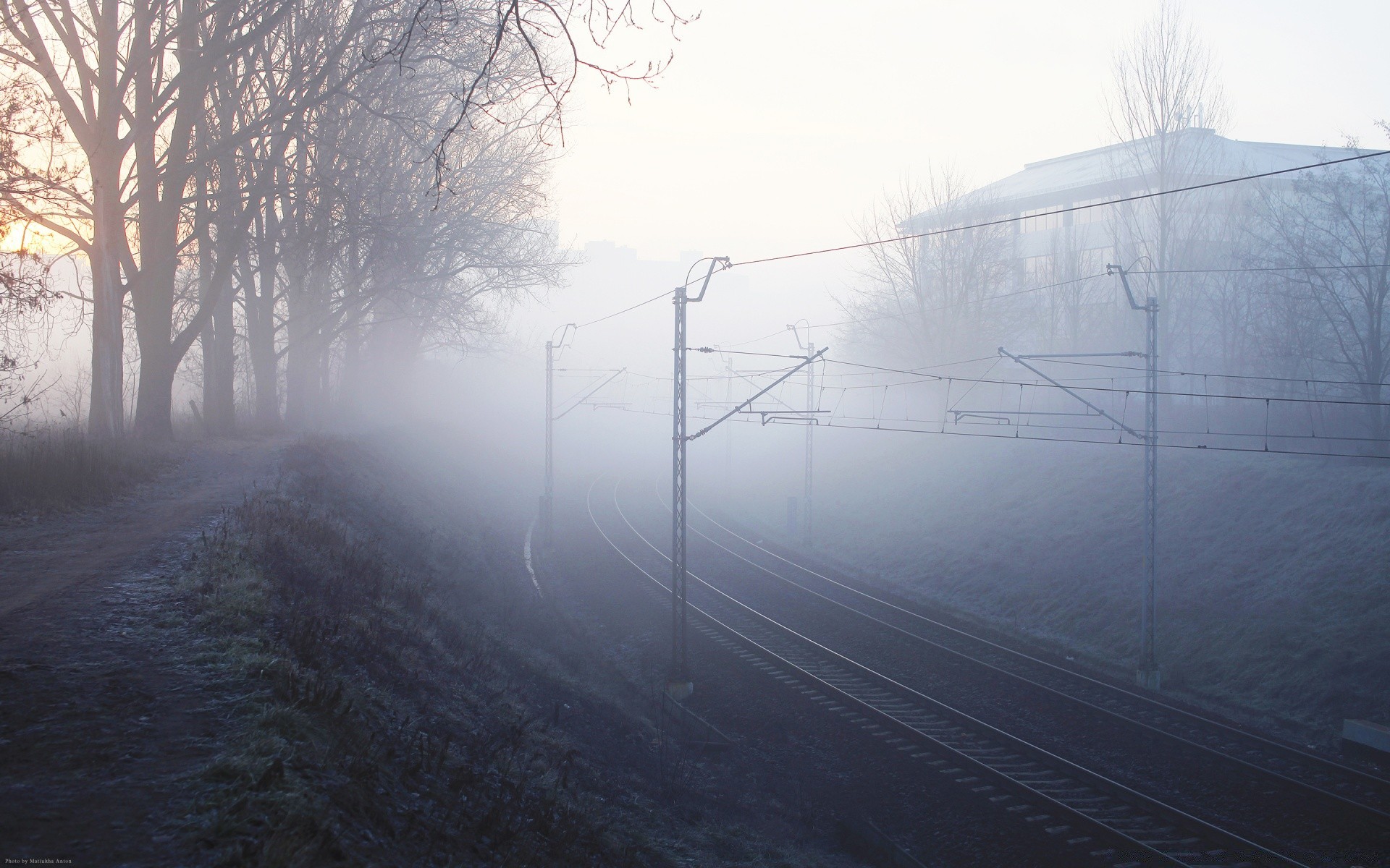 trains brouillard brouillard hiver paysage aube ciel nature lumière neige temps froid environnement arbre à l extérieur route sombre système de transport