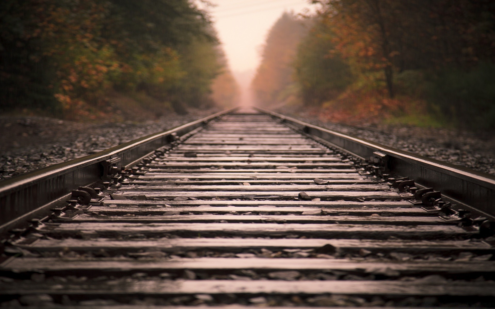 treni ferrovia treno pista manuale sistema di trasporto luce viaggi prospettiva strada linea acciaio legno paesaggio ferro motore pendolari