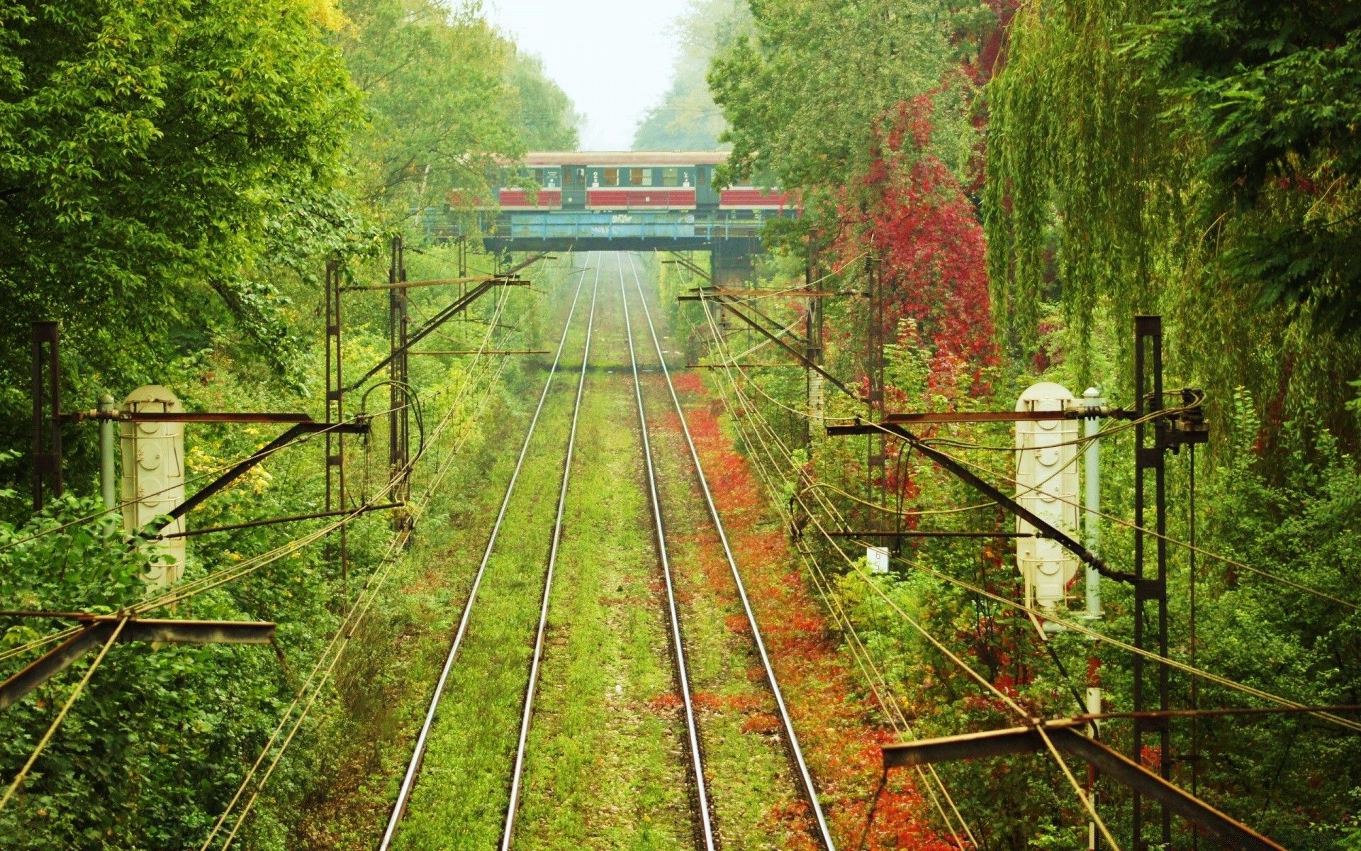 trains wood nature tree outdoors travel leaf summer bridge train landscape guidance grass park environment fall rural railway transportation system