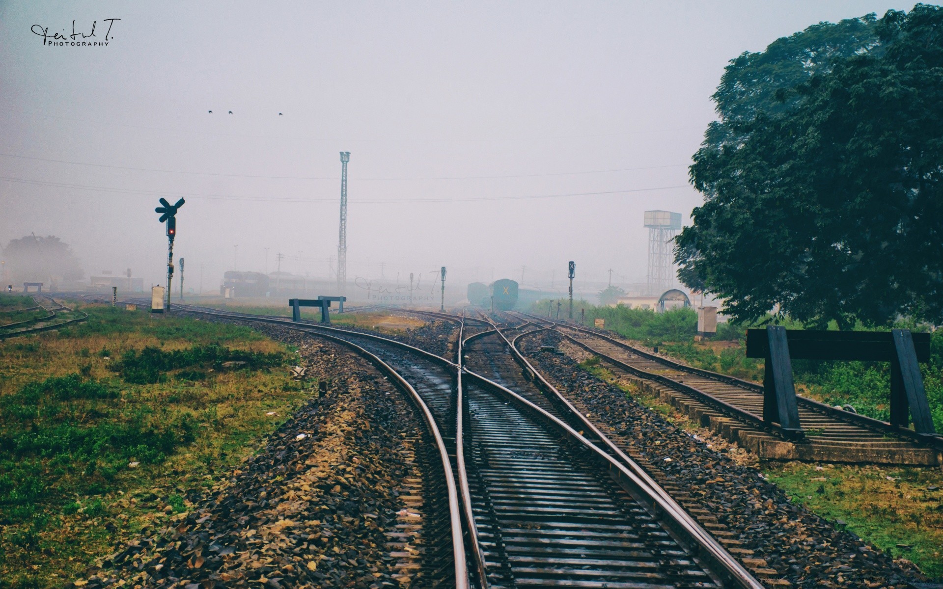 trens ferrovia trem sistema de transporte pista viagens estrada ao ar livre guia luz do dia céu horizontal paisagem árvore grama natureza