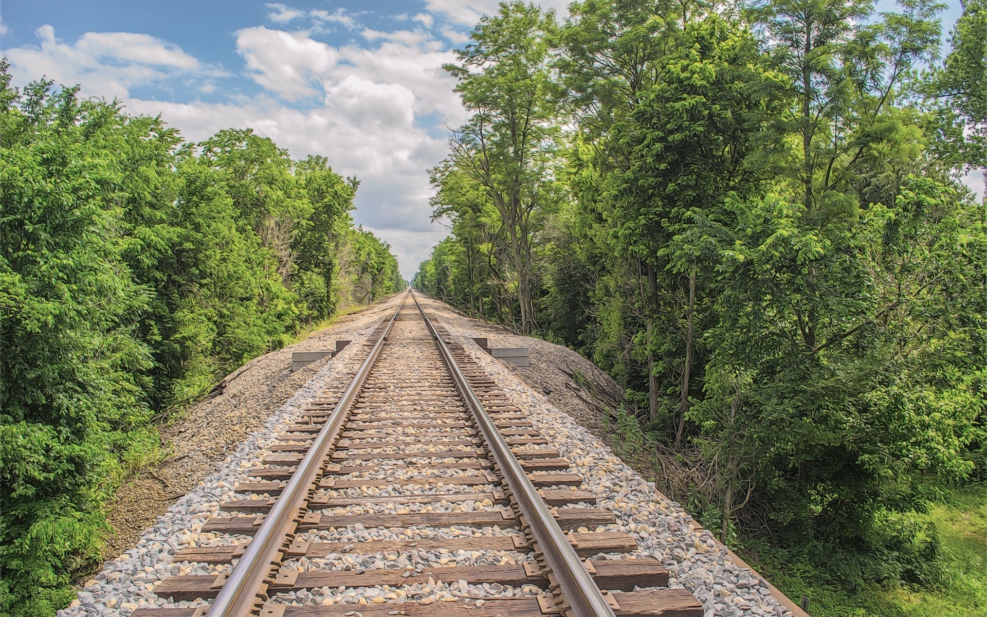 treni pista ferrovia guida viaggi treno legno all aperto strada natura albero prospettiva estate sistema di trasporto paesaggio ghiaia