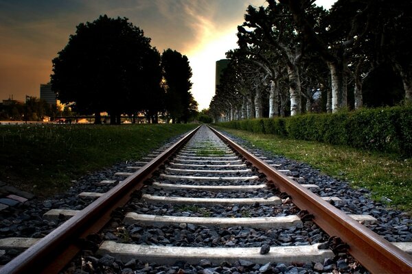 Railway tracks in the rays of the sun