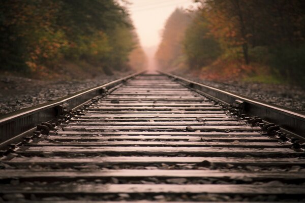 Vía férrea. Tren fondos