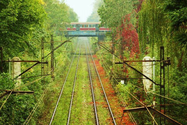 Russische Eisenbahnen im Sommer