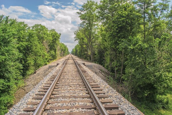 Railway passing through the forest