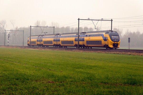 TREN ELÉCTRICO EN LA NIEBLA EN EL FONDO DEL CÉSPED EN LA NIEBLA