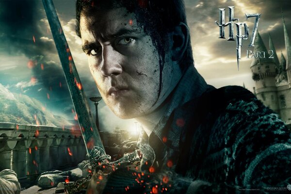 Harry Potter avenir film