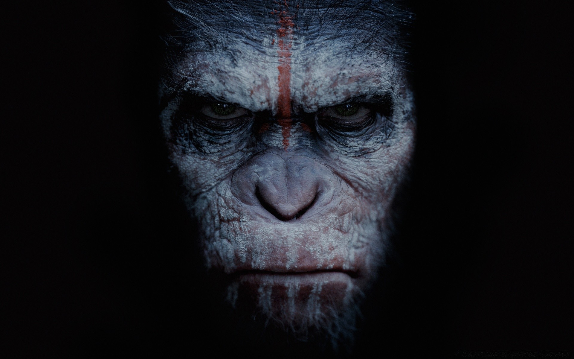 movies portrait face primate one monkey mammal dark ape adult man