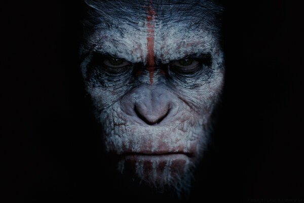 Dawn of the Planet of the Apes 2014 movie