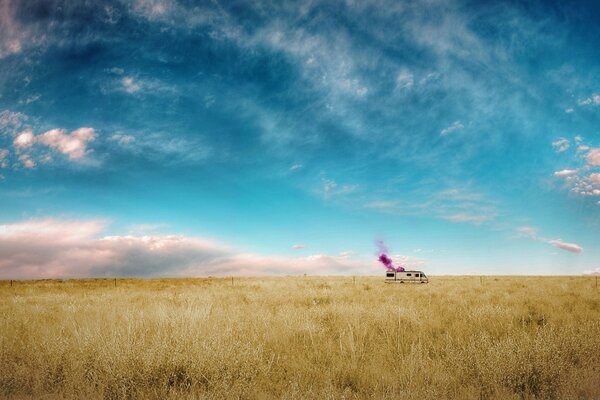 Picnic in the field outdoors