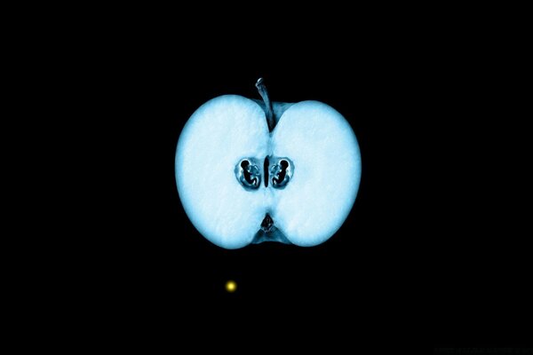 X-ray of an apple with human embryos