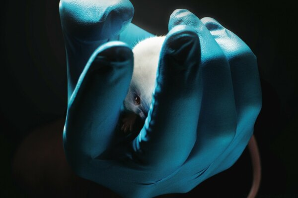 A hand in a rubber glove on a dark background