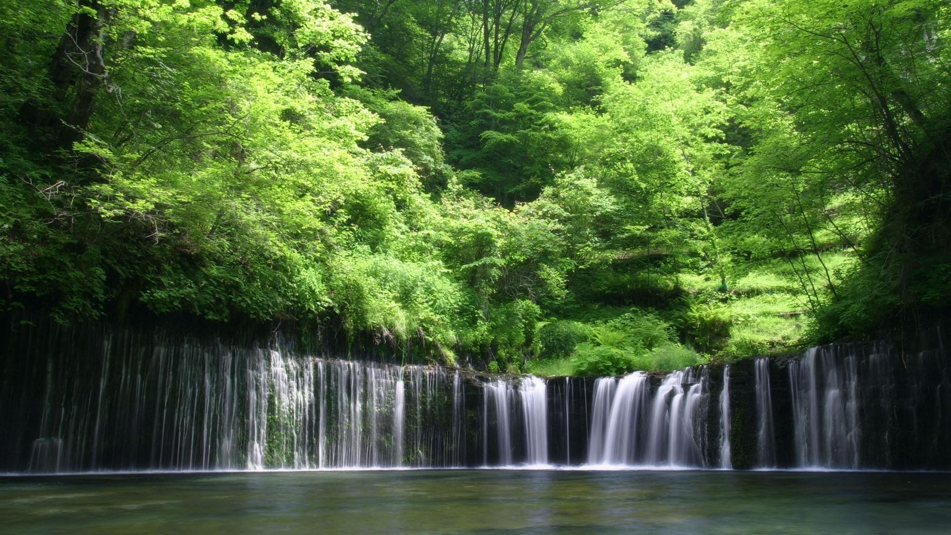 waterfalls water wood nature river waterfall leaf tree landscape stream park lush outdoors summer environment fall wild scenic travel wet