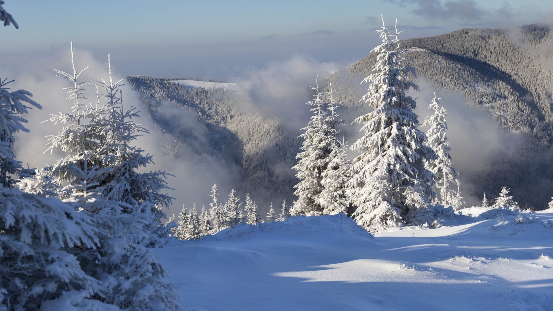 inverno neve freddo montagna ghiaccio gelo legno nevoso scenico congelato evergreen paesaggio resort picco di montagna conifere