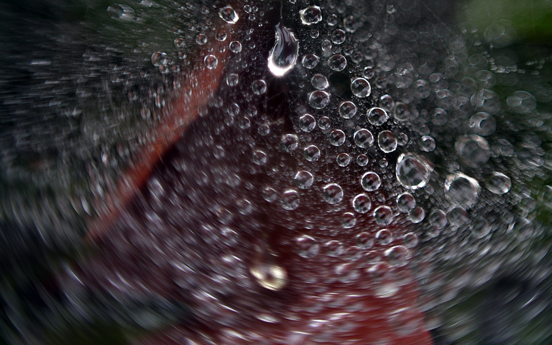 macro rain wet drop dew water bubble droplet clean waterdrop splash liquid raindrop reflection clear purity drink shining glass wash