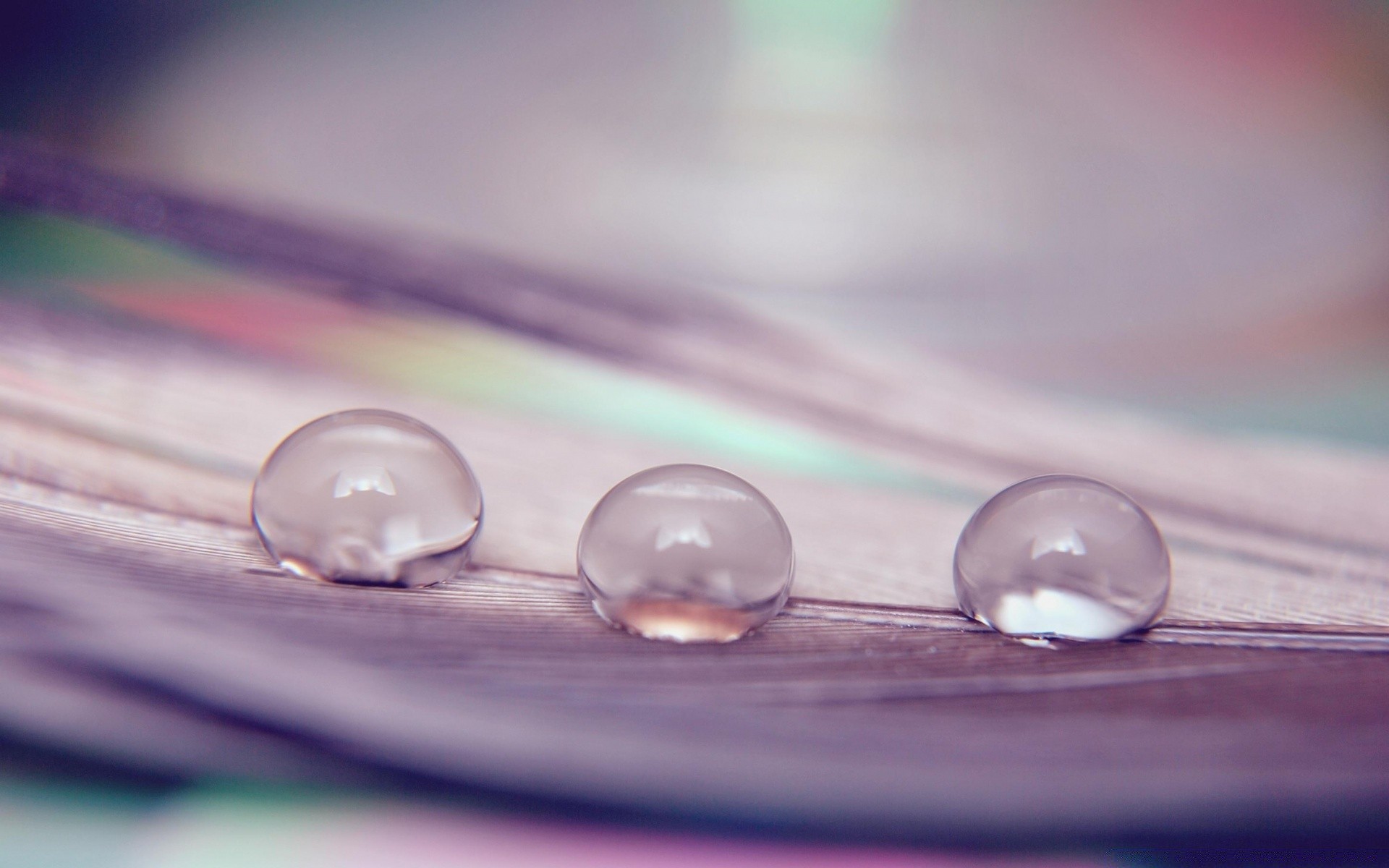 macro médecine gros plan bureau chute santé couleur pluie eau ronde propre réflexion traitement sain humide brille médical rosée