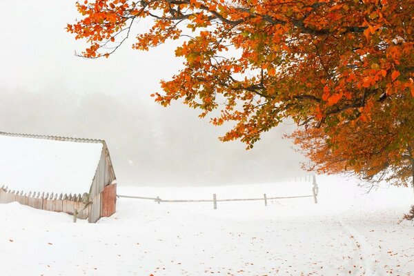 L autunno non ha avuto il tempo di andarsene, l inverno è entrato nei Suoi diritti