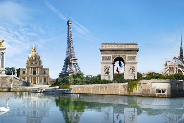 Pomba branca na água contra a cidade e a Torre Eiffel