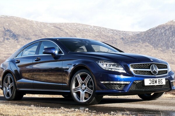 Sports car in the steppe on the road