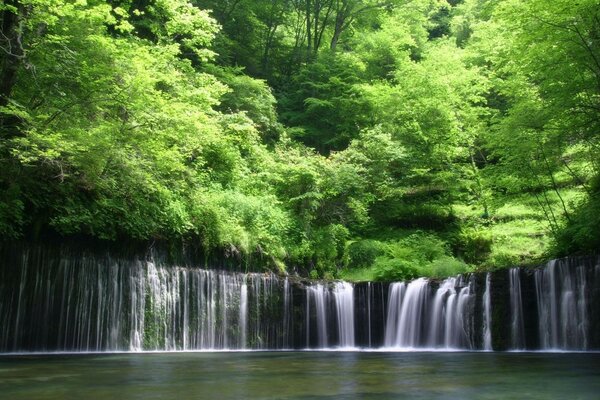 Cascada de lujo rodeada de árboles verdes