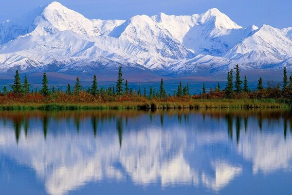 Reflection of snowy mountains and trees