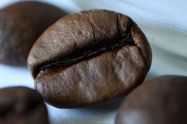 Coffee grain lies Macro Photography