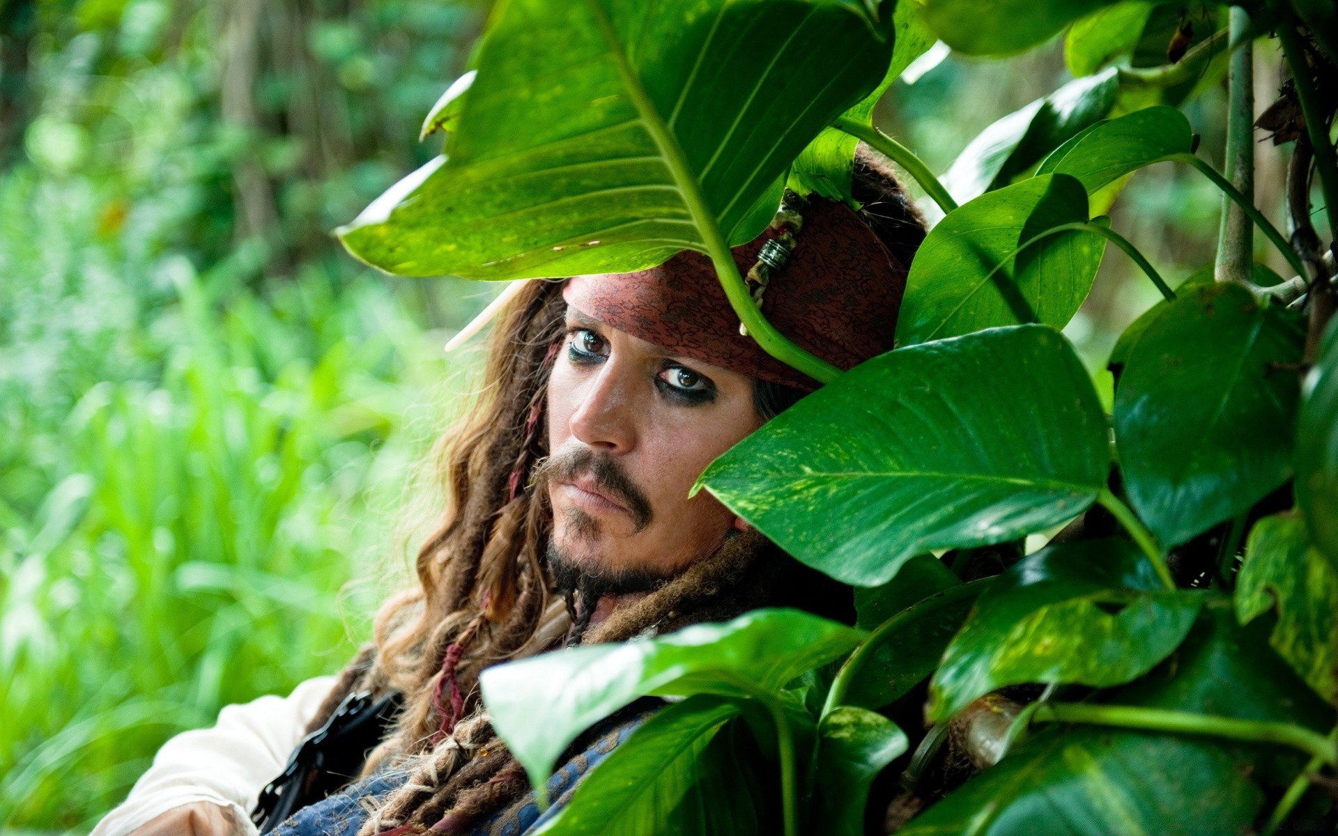 pirates of the caribbean leaf nature summer outdoors flora tree healthy beautiful grass growth garden agriculture food